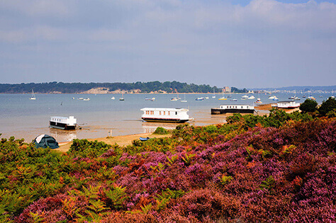 brownsea island