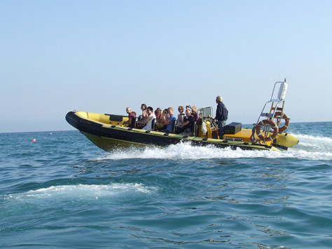 lulworth-rib-rides