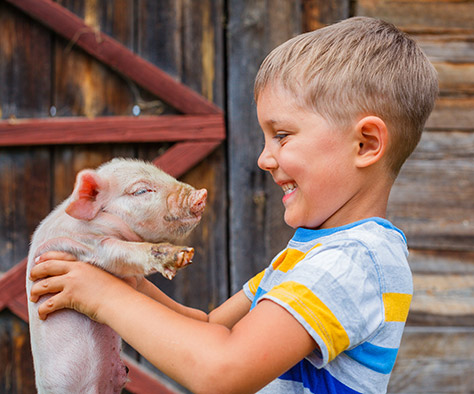 piglets-adventure-farm-park