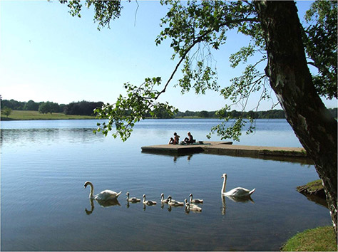 tatton-park