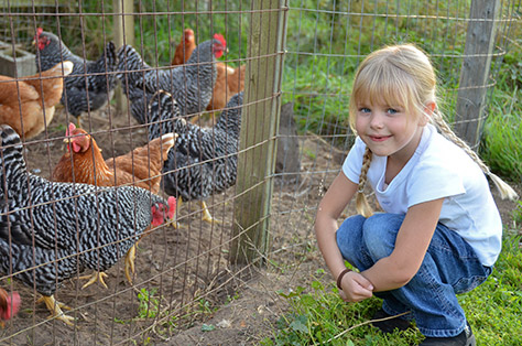 whitehouse-farm---bigstock