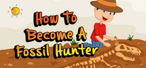How To Become a Fossil Hunter