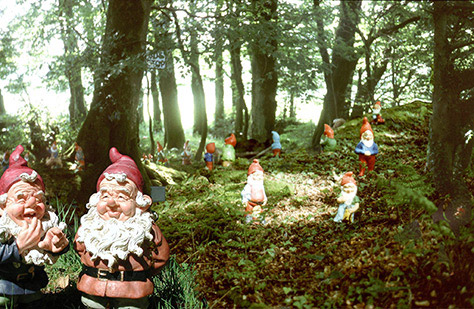 gnome-reserve