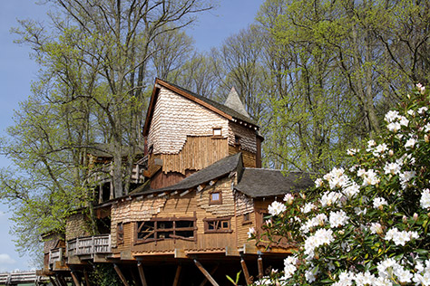 bigstock-alnwick-garden-tree-house-1562491