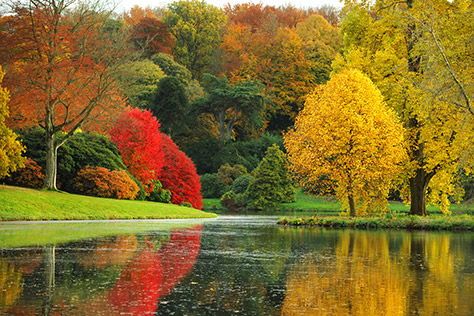bigstock-the-stunning-beauty-of-autumn-15270932