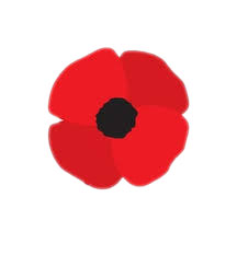 7 Remembrance Day Facts to Share with Older Children - Picniq Blog