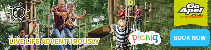 blog-goape-advert-728x174