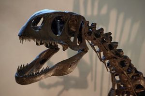 Dinosaurland Fossil Museum; Lyme Regis, Dorset