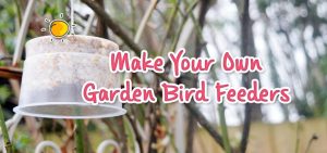Make Your Own Garden Bird Feeder