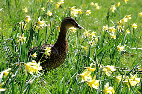 ©National Trust Images Tamsin Holmes