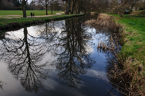 bigstock-Bute-Park-53480056