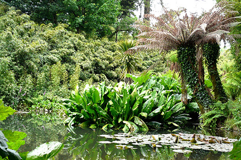 the lost gardens of heligan