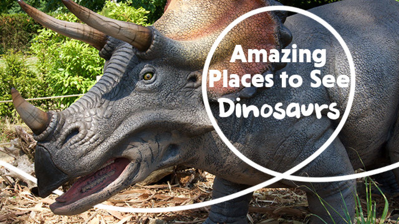 Places To See Dinosaurs This Summer Picniq Blog