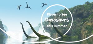 Places to See Dinosaurs this Summer