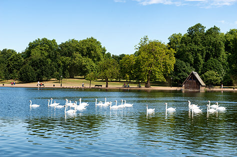 London's Parks | Free Things to Do in London
