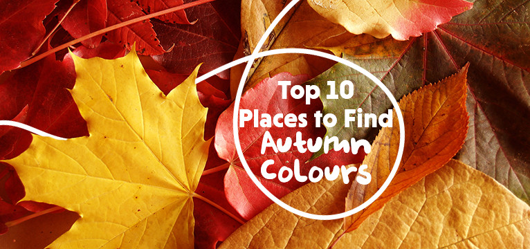 Top Places To Find Autumn Colours
