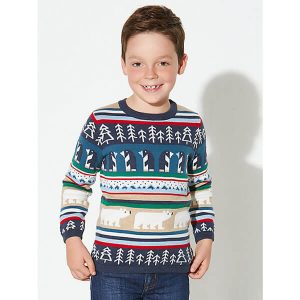 Boys Character Christmas Jumper