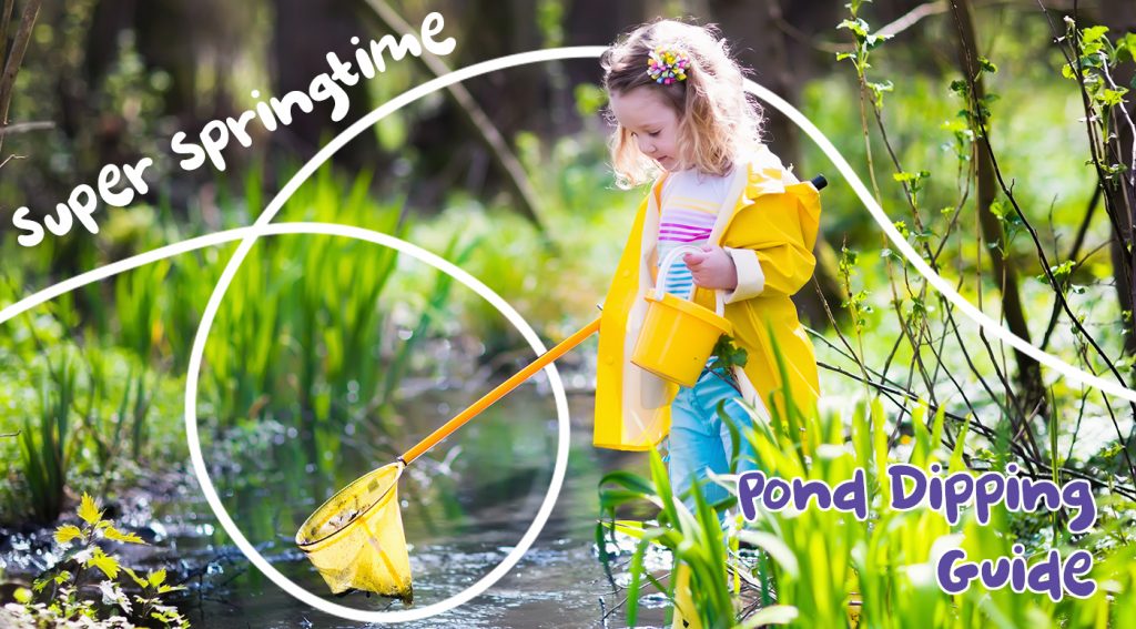 Super Springtime Pond Dipping Guide - Picniq Blog