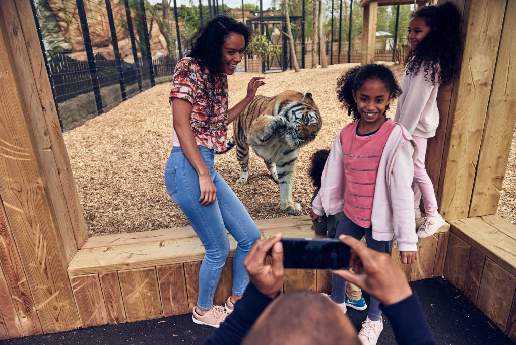 Land of the Tiger at Chessington World of Adventures Resort