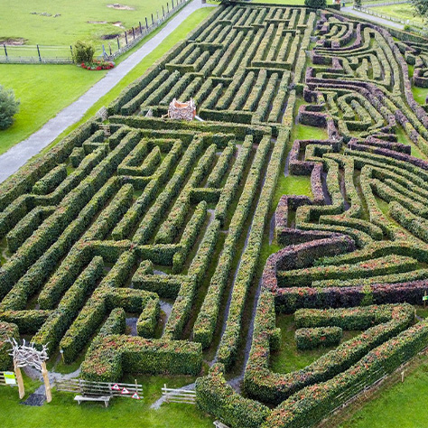 The Best Mazes in the UK - Picniq Blog