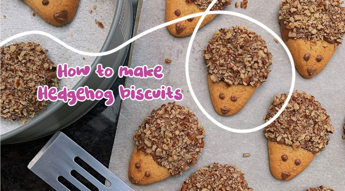 How to make Hedgehog biscuits Picniq Blog
