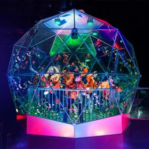Crystal Maze dome