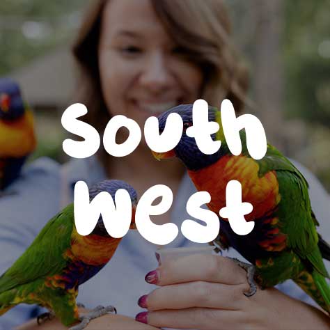 A woman holding two parrots on her fingers.