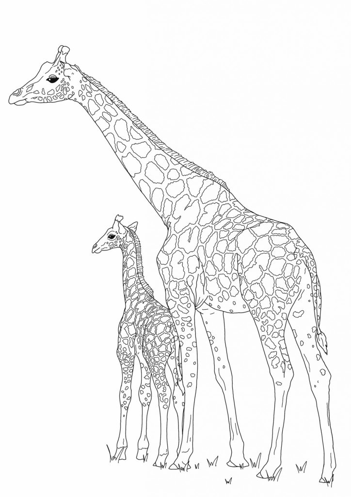 Free Printable Animal Colouring - Picniq Blog